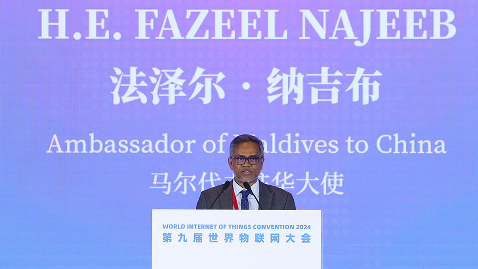 2024(第九届)世界物联网大会在京召开