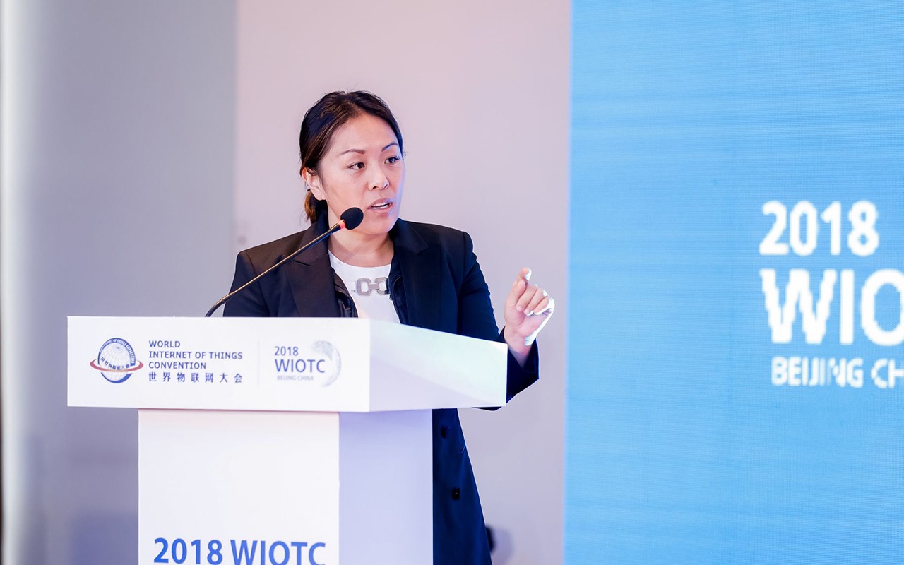 美国GLG技术委员会成员Amy Chow女士发表演讲